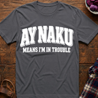 I'm In Trouble T-Shirt